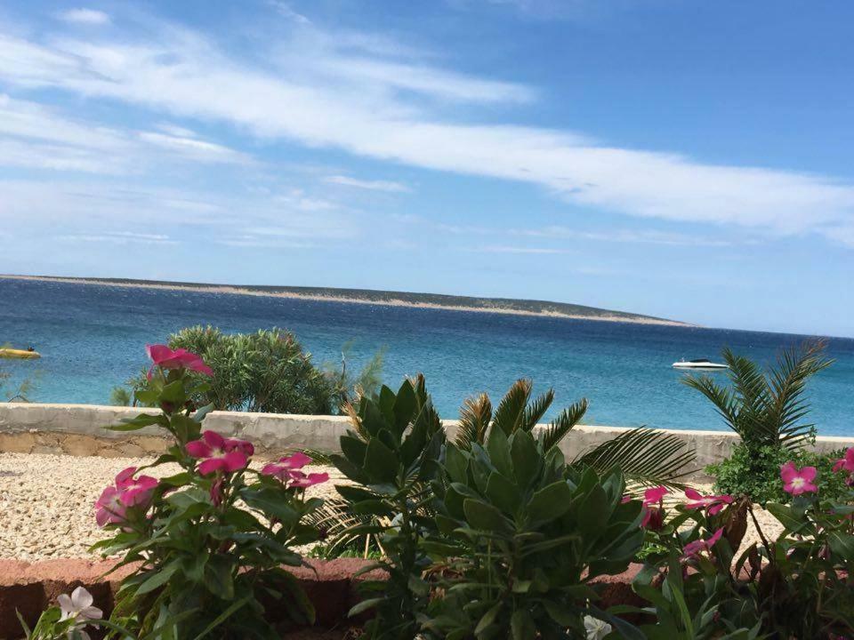 Apartmani Filip Mandre Esterno foto